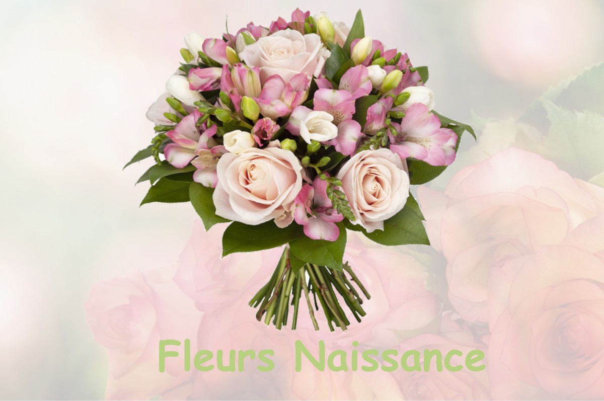 fleurs naissance SAINT-THIEBAUD