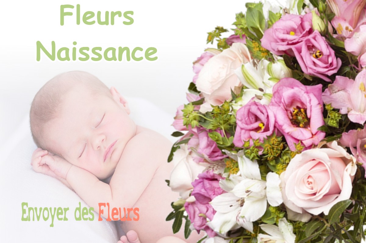 lIVRAISON FLEURS NAISSANCE à SAINT-THIEBAUD